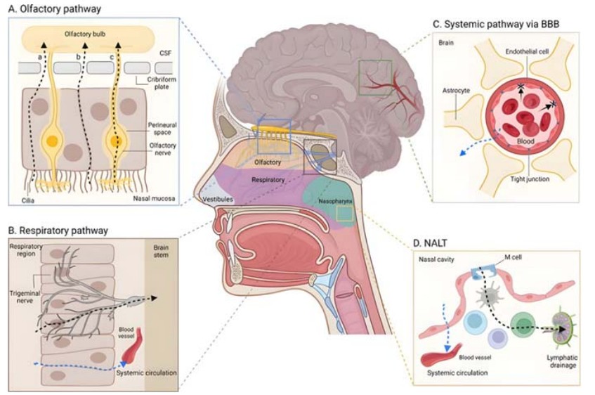 640?wx_fmt=png&from=appmsg&tp=wxpic&wxfrom=10005&wx_lazy=1#imgIndex=0 640?wx_fmt=png&from=appmsg&tp=wxpic&wxfrom=10005&wx_lazy=1#imgIndex=0
