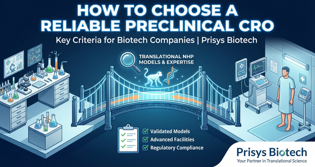 How to Choose a Reliable Preclinical CRO Key Criteria for Biotech Companies How to Choose a Reliable Preclinical CRO Key Criteria for Biotech Companies