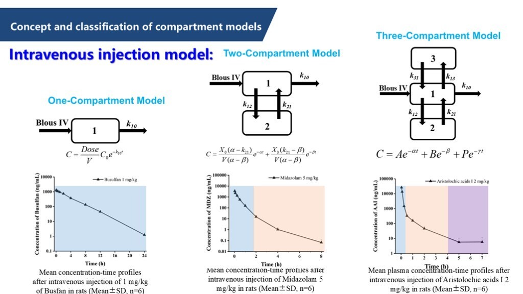 Concept and classification of compartment models Concept and classification of compartment models