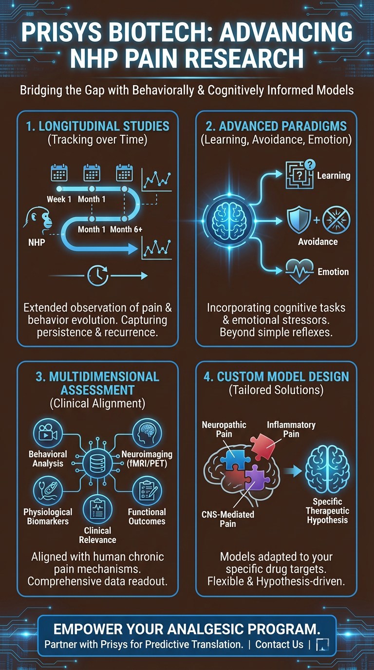How Prisys Biotech Supports Advanced NHP Pain Research