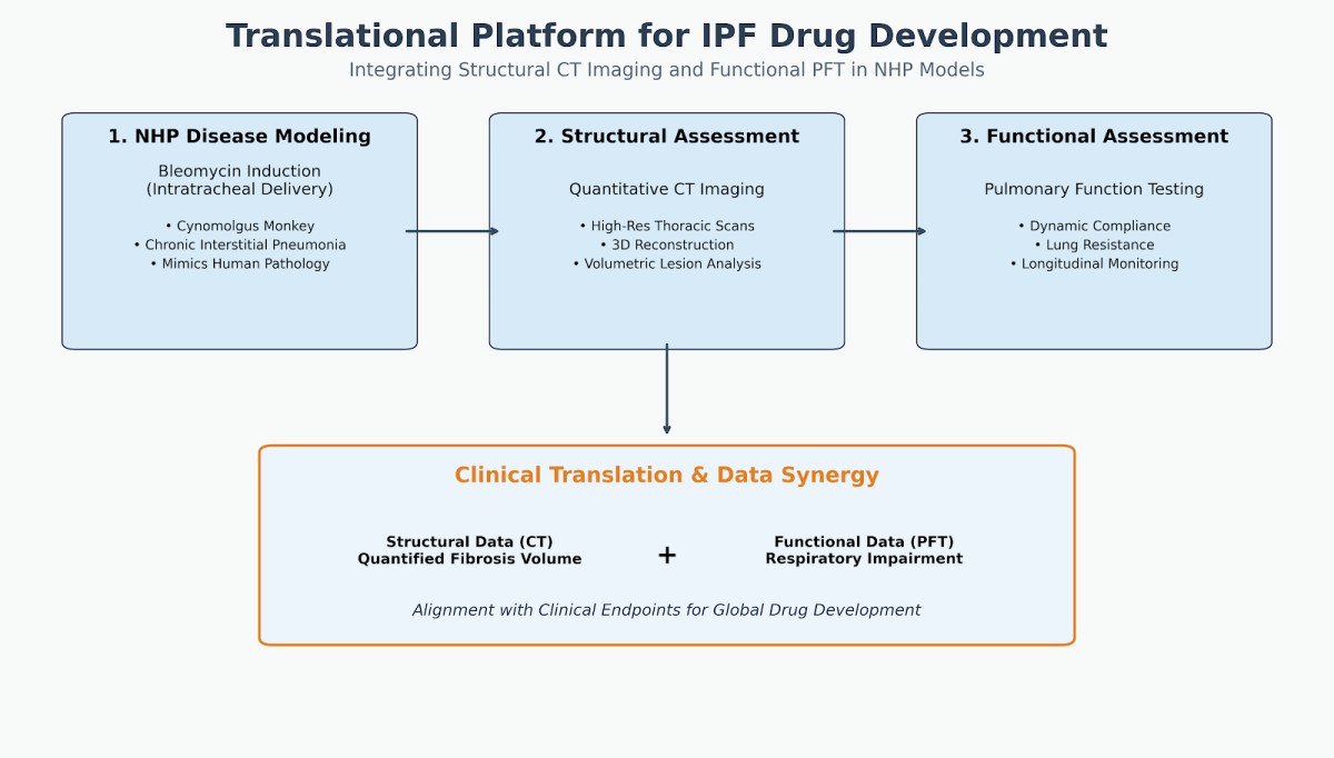 IPF Drug Development Imaging and PFT