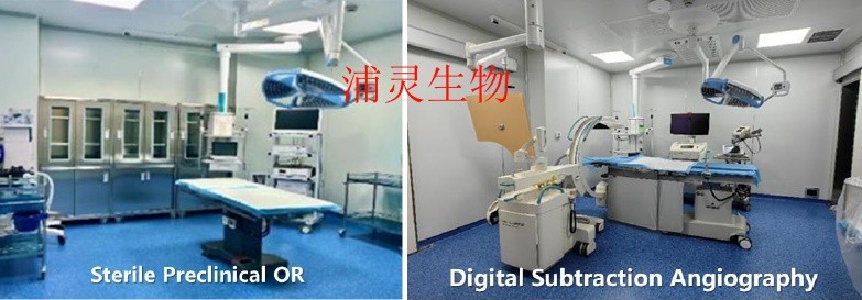 利用DSA与CTA影像技术提升心血管药物安全性评价 利用DSA与CTA影像技术提升心血管药物安全性评价