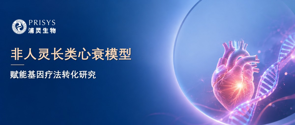 浦灵生物协助完成端粒重保护基因疗法J101的非人灵长类模型验证研究