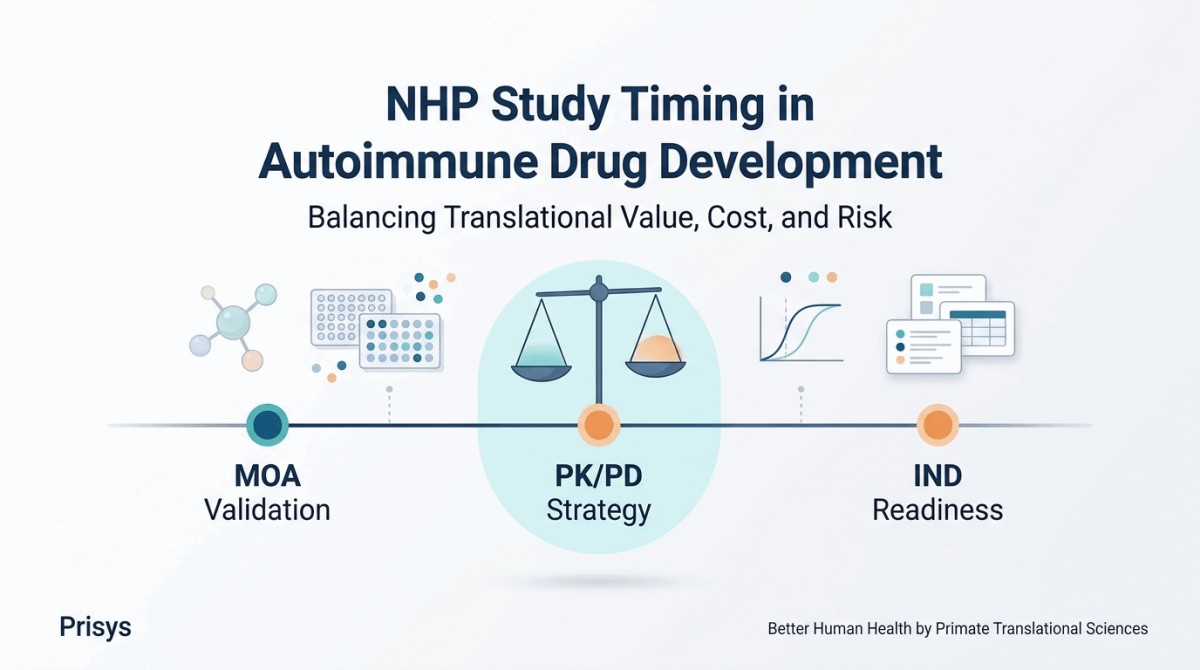 Cost-Effective Time to Introduce NHP Studies