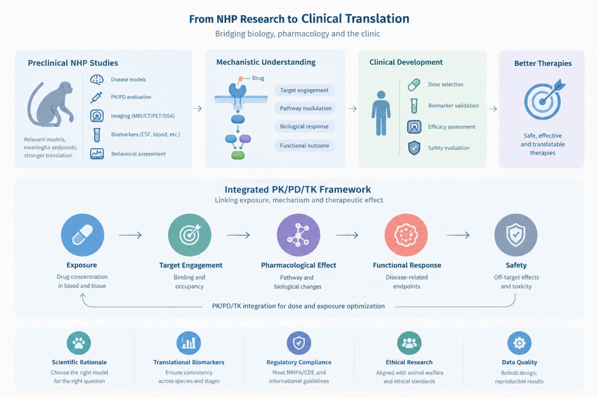 What are the pharmacodynamic requirements for new drug applications What are the pharmacodynamic requirements for new drug applications