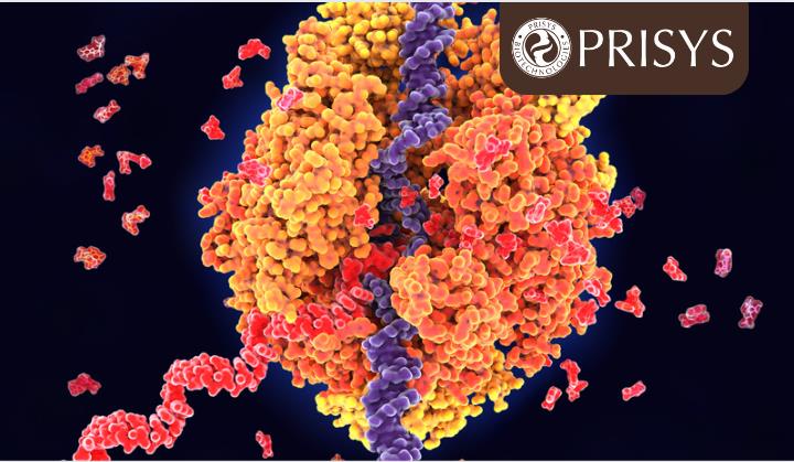 什么是用于基因治疗的脂质纳米颗粒？