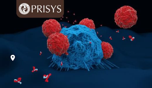 免疫毒性试验，药物安全性评价