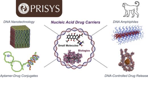 为什么你应该关注核酸药物递送系统研发中的非人灵长类动物