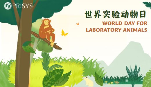 庆祝世界实验动物日：浦灵生物致力于促进非人类灵长类动物的健康