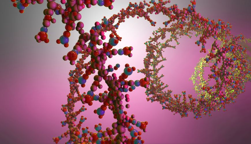 如何在基因治疗安全性评估中有效使用非人灵长类动物