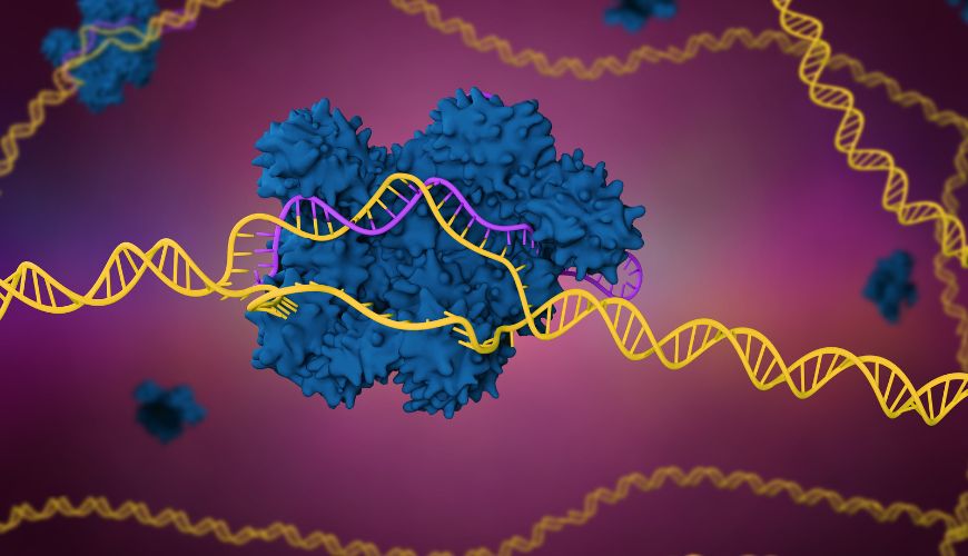 灵长类动物基因治疗毒理学研究