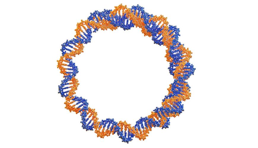 释放治疗潜力：为什么投资核酸药物是医学的未来