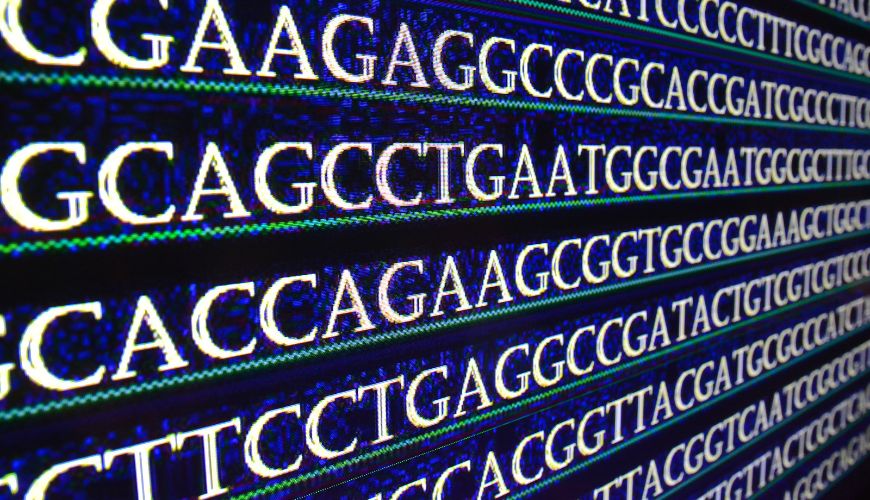 释放非人灵长类动物在增强基因治疗药物靶标发现方面的潜力