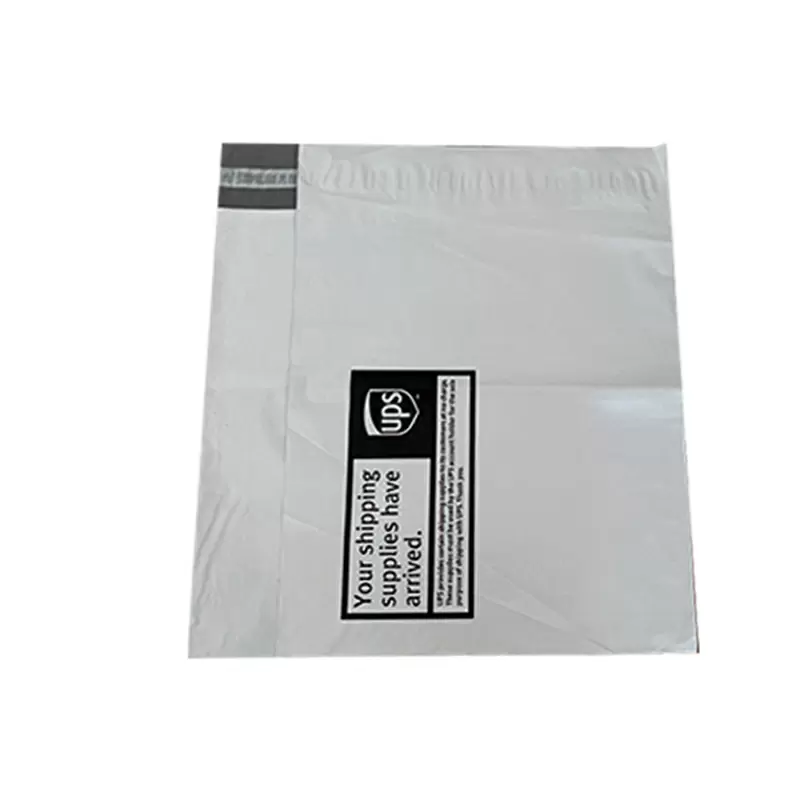 UPS 快递袋