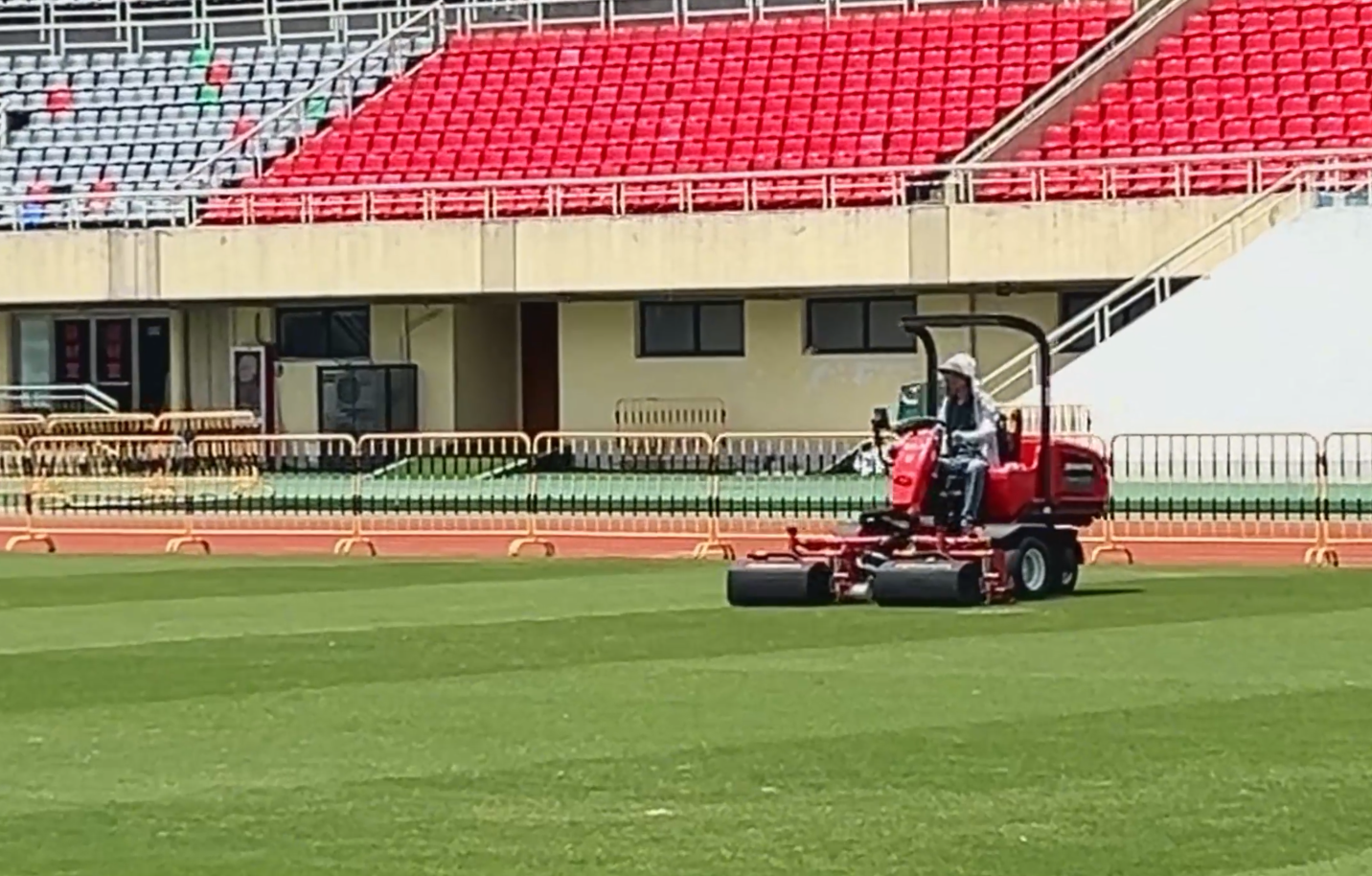 Denaiyou Turf Care Guide | Proper Ryegrass Overseeding for Warm-Season Lawns