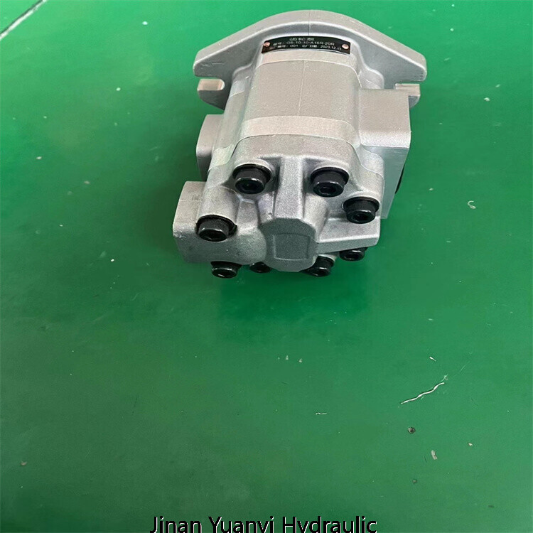 Bomba hidráulica de engranajes para carretillas elevadoras serie SGP2-32 SGP2-36 SGP2-40 SGP2-44 SGP2-48 SGP2-52