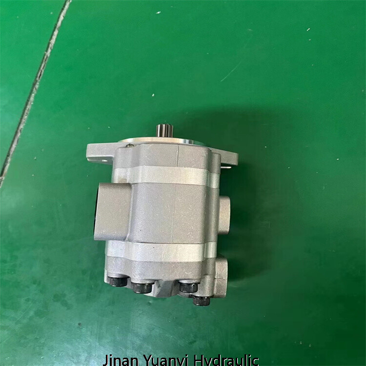 Bomba hidráulica de engranajes para carretillas elevadoras serie SGP2-32 SGP2-36 SGP2-40 SGP2-44 SGP2-48 SGP2-52