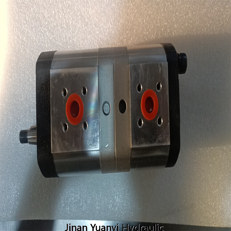 Bomba de engranajes hidráulica doble de 11 cc + 2 cc en venta