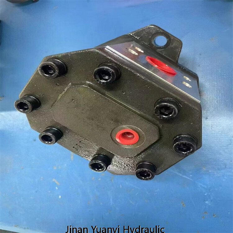 Bomba hidráulica de engranajes de aluminio Marzocchi GHP1 GHP2 GHP3 ALP2 GHP2A-D-25-C2-FG ALP2-D-30