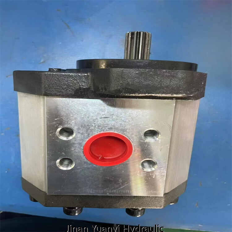 Bomba hidráulica de engranajes de aluminio Marzocchi GHP1 GHP2 GHP3 ALP2 GHP2A-D-25-C2-FG ALP2-D-30