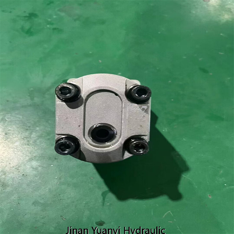 Bomba hidráulica de engranajes de aluminio Marzocchi GHP1 GHP2 GHP3 ALP2 GHP2A-D-25-C2-FG ALP2-D-30