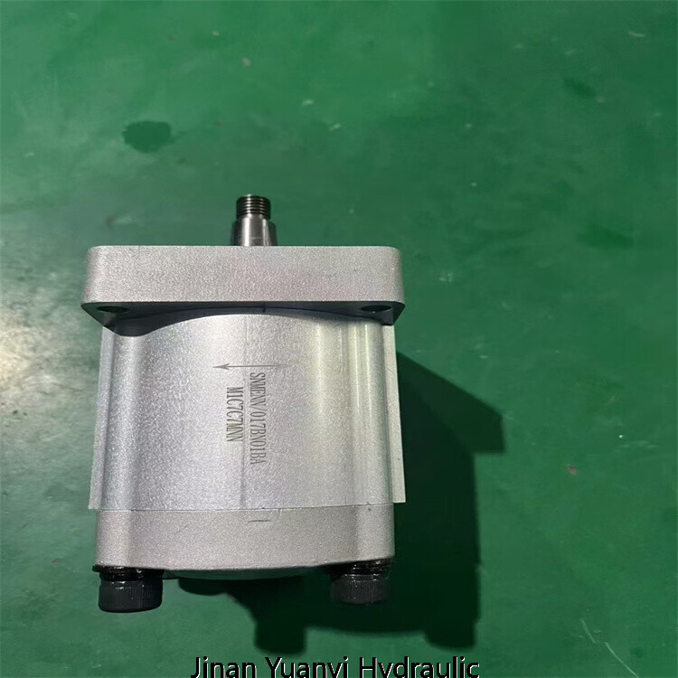 Bomba hidráulica de engranajes de aluminio Marzocchi GHP1 GHP2 GHP3 ALP2 GHP2A-D-25-C2-FG ALP2-D-30