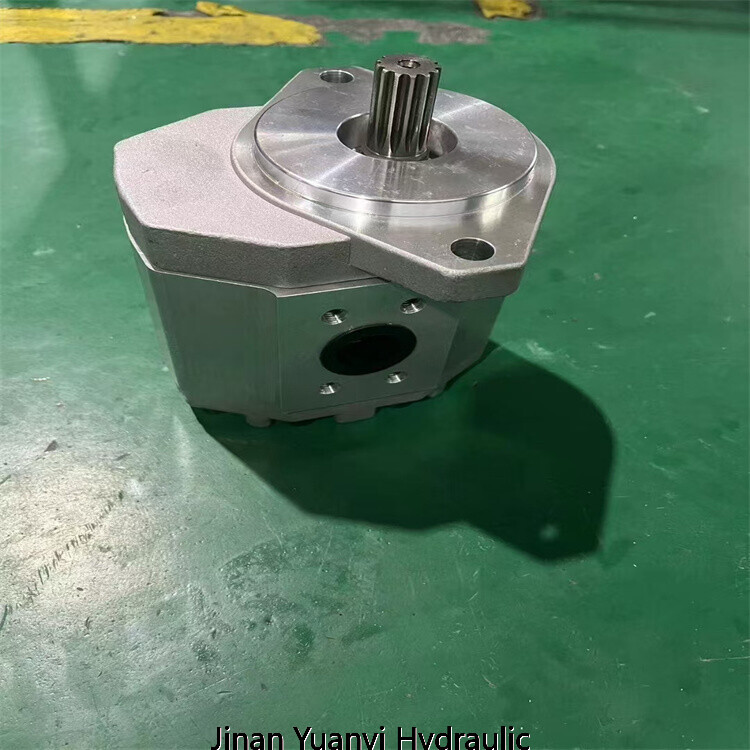 255001.jpg 255001.jpg