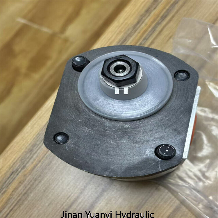 Bomba hidráulica de engranaje único GHP1, bomba de engranajes de alta presión GHP1-D-16 GHP1-D-20