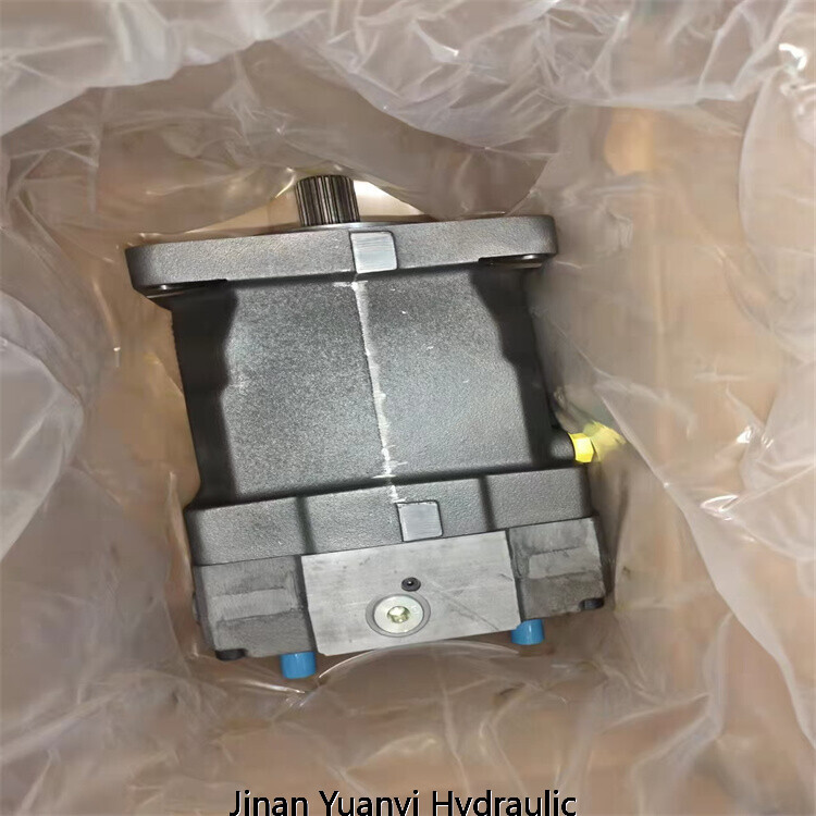 Bomba de riego para rodillo compactador BW203AD-4