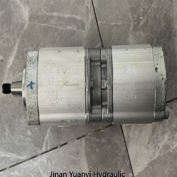 Rodillo compactador Bomag 203AD-4 05813175 Bomba hidráulica doble, 05813175 Bomba de engranajes