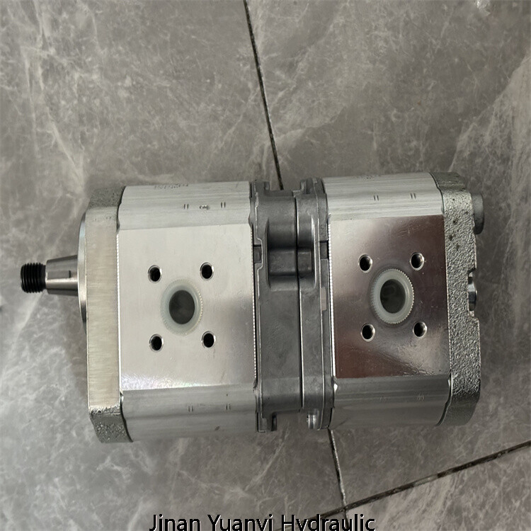 Rodillo compactador Bomag 203AD-4 05813175 Bomba hidráulica doble, 05813175 Bomba de engranajes