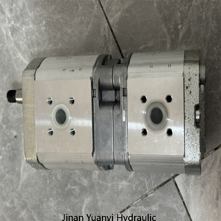 Rodillo compactador Bomag 203AD-4 05813175 Bomba hidráulica doble, 05813175 Bomba de engranajes