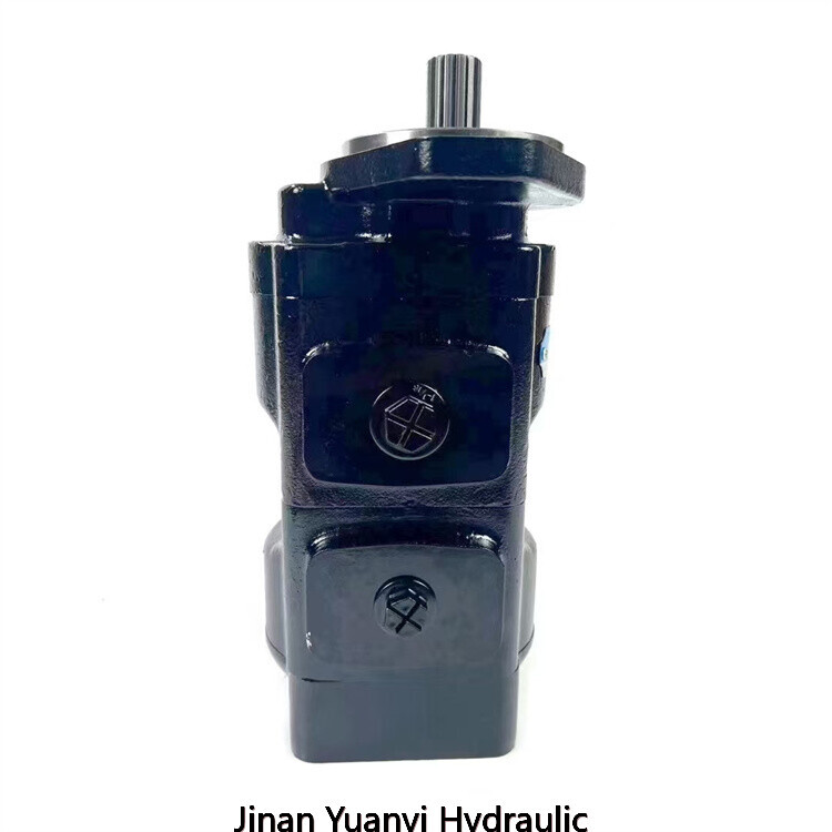 Jcb 332/F9030 20/925580 7029120048 20/912800 20/903100 20/902900 7029122001 Bomba hidráulica de engranajes de hierro