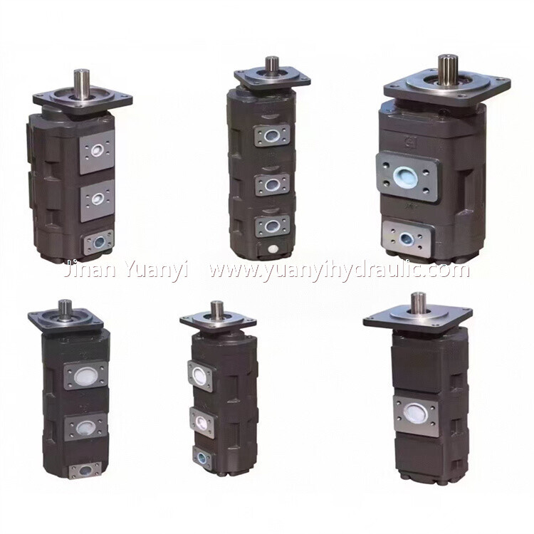 CBGJ2080/1010c-XF Wheel Loader Gear Pump 4120000171 2030900028 3030900140 Double Hydraulic Pump