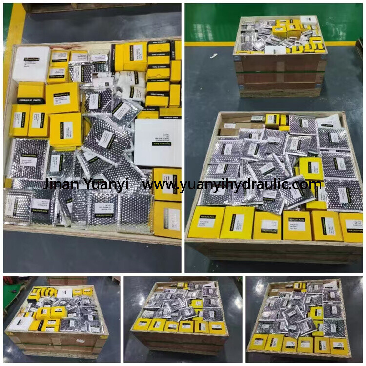 A6vm28 A6vm55 A6vm80 A6vm107 A6vm115 A6vm125 A6vm140 A6vm160 A6vm200 A6vm250 A6vm355 A6vm500 Recambio hidráulico