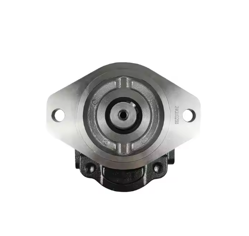 Bomba hidráulica de engranajes de alta presión Casappa FP30.90D0-33S5-LGG/GG-N(VGR01)