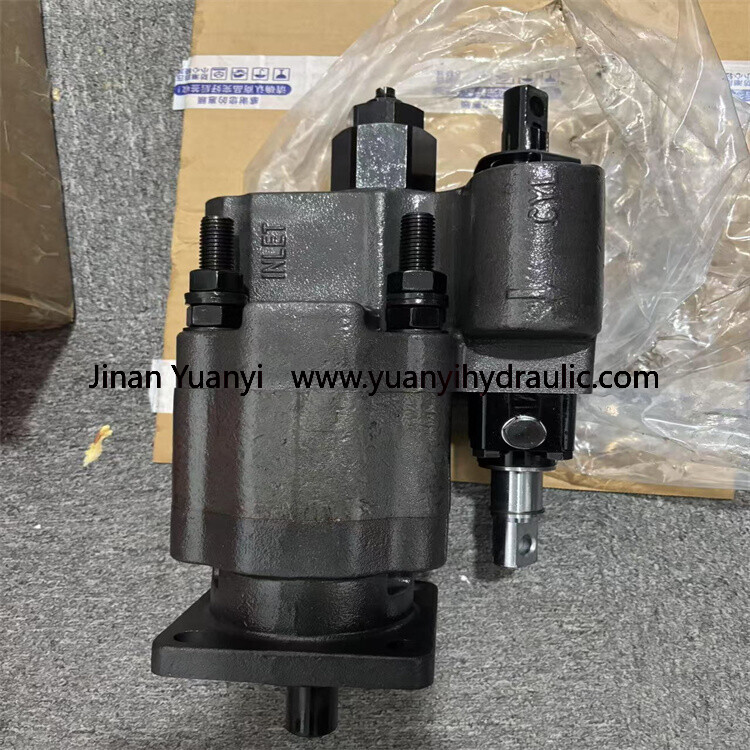 Bomba hidráulica del engranaje de elevación del camión C101-25 C101 C102 G101 G102