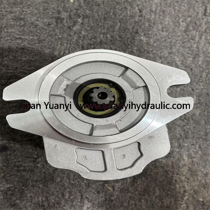 Bomba hidráulica de engranajes SNP2NN/025L en venta, 111.20.141.00 Bomba hidráulica de engranajes de alta presión