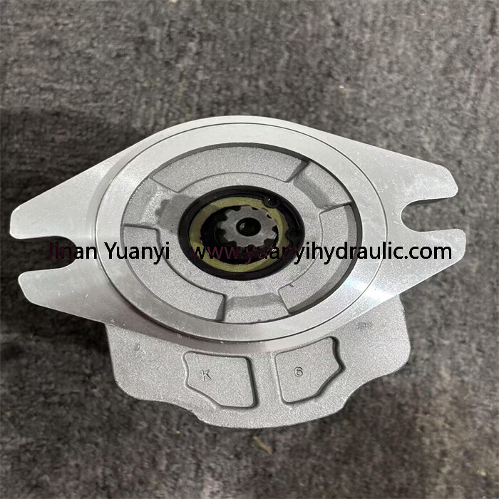 Bomba hidráulica de engranajes SNP2NN/025L en venta, 111.20.141.00 Bomba hidráulica de engranajes de alta presión