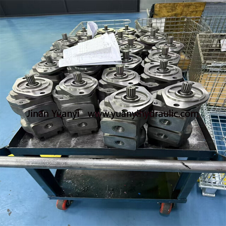 7029120047 Bomba de engranajes hidráulica doble, 7029120047 Bomba hidráulica