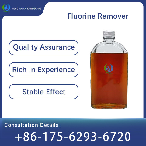 Fluorine Remover