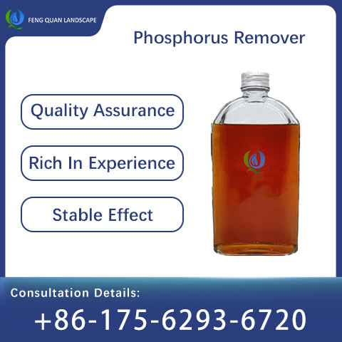 Phosphorus Remover