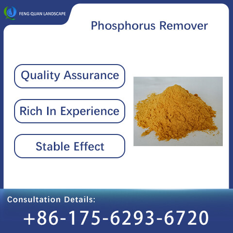 Phosphorus Remover