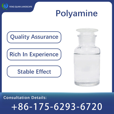Polyamine