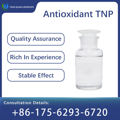 Antioxidant TNP