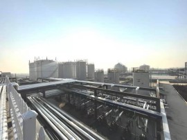 Neodymium Neodecanoate：Catalyst for Rare Earth Rubber