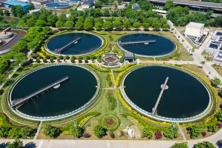 Sodium Dimethyldithiocarbamate (SDD): A Scientific Analysis of an Eco-Friendly Heavy Metal Treatment Agent