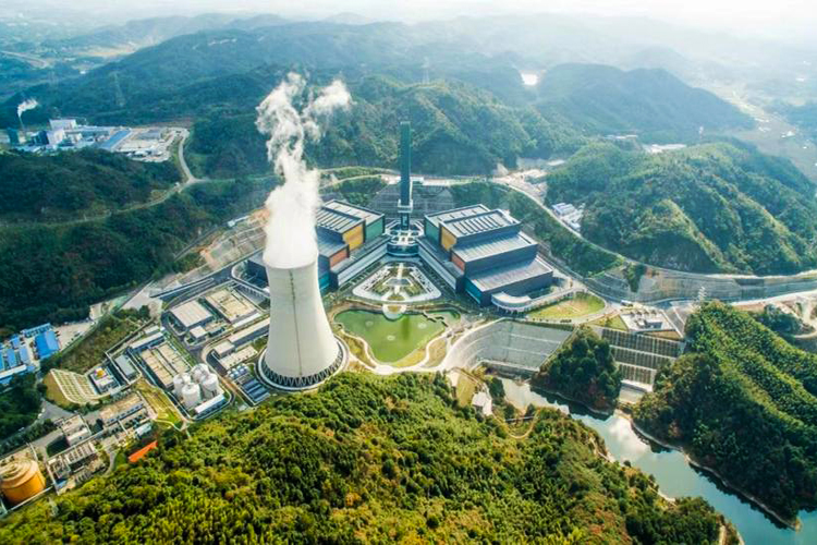 ーショネートロジンカリウム石鹸——天然物の化学的新生