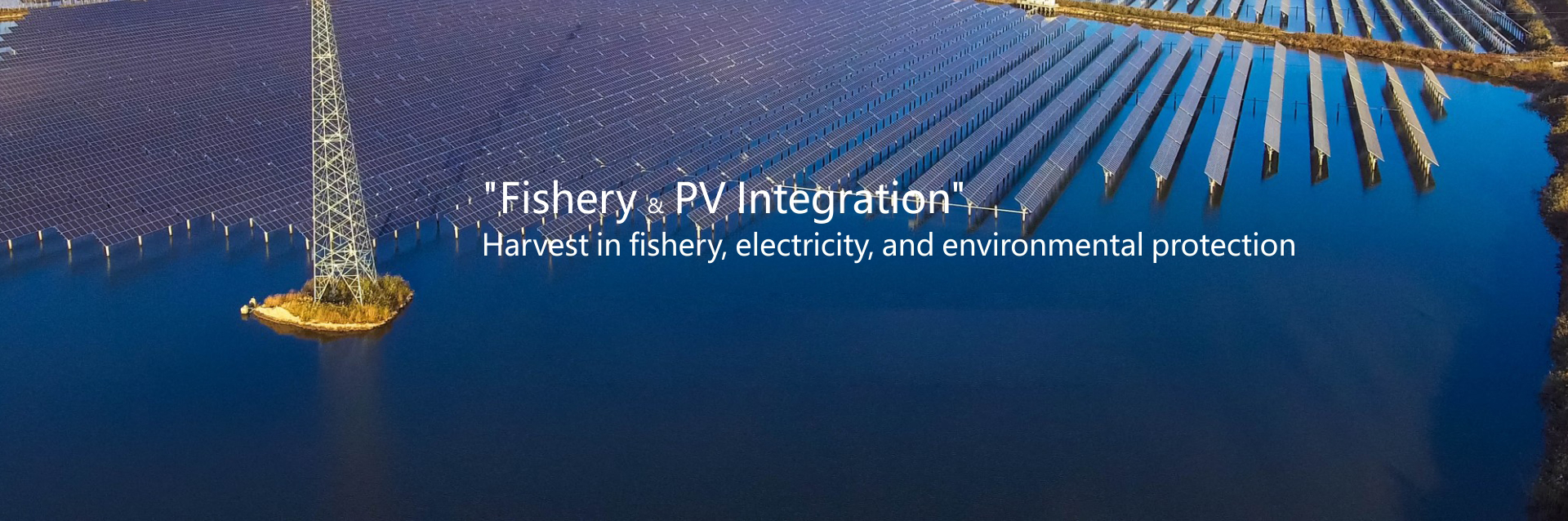 Operações e Manutenção Inteligentes, Especialista em Operações Inteligentes de "Integração de Pesca e PV"