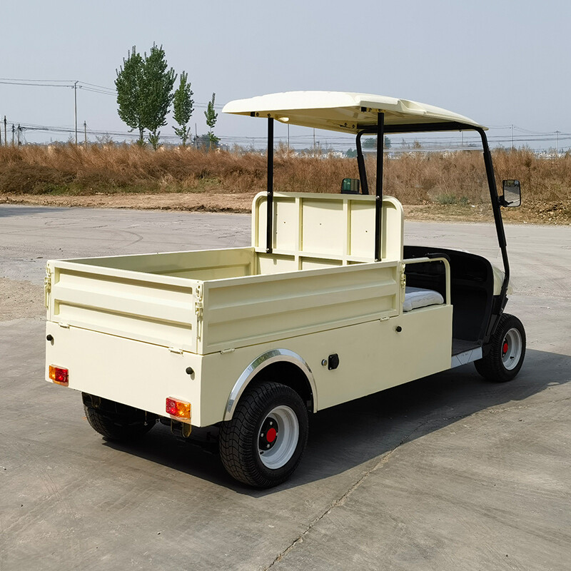 Электрический гольф-кар XLY-2GFD